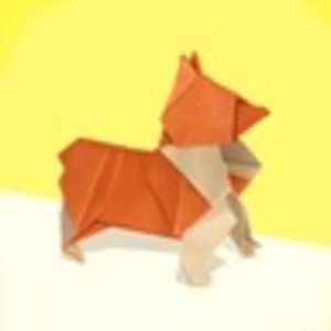 Meet your Posher, Alejandro